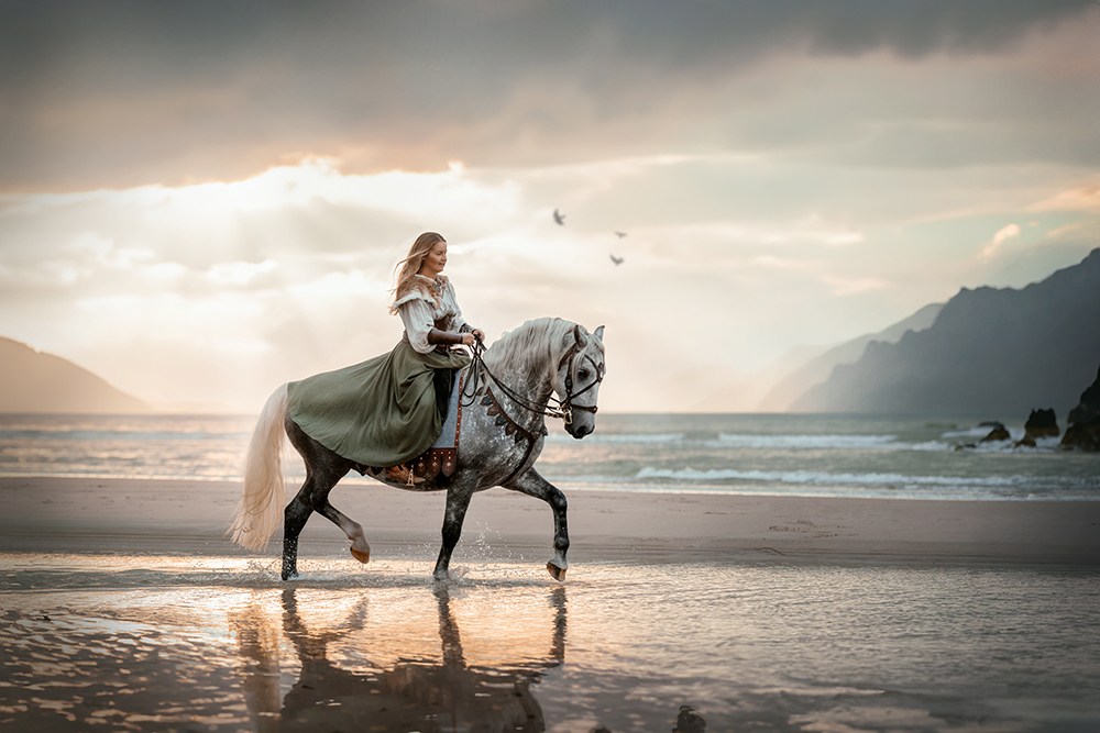 Schimmel_Hengst_Shooting_Strand